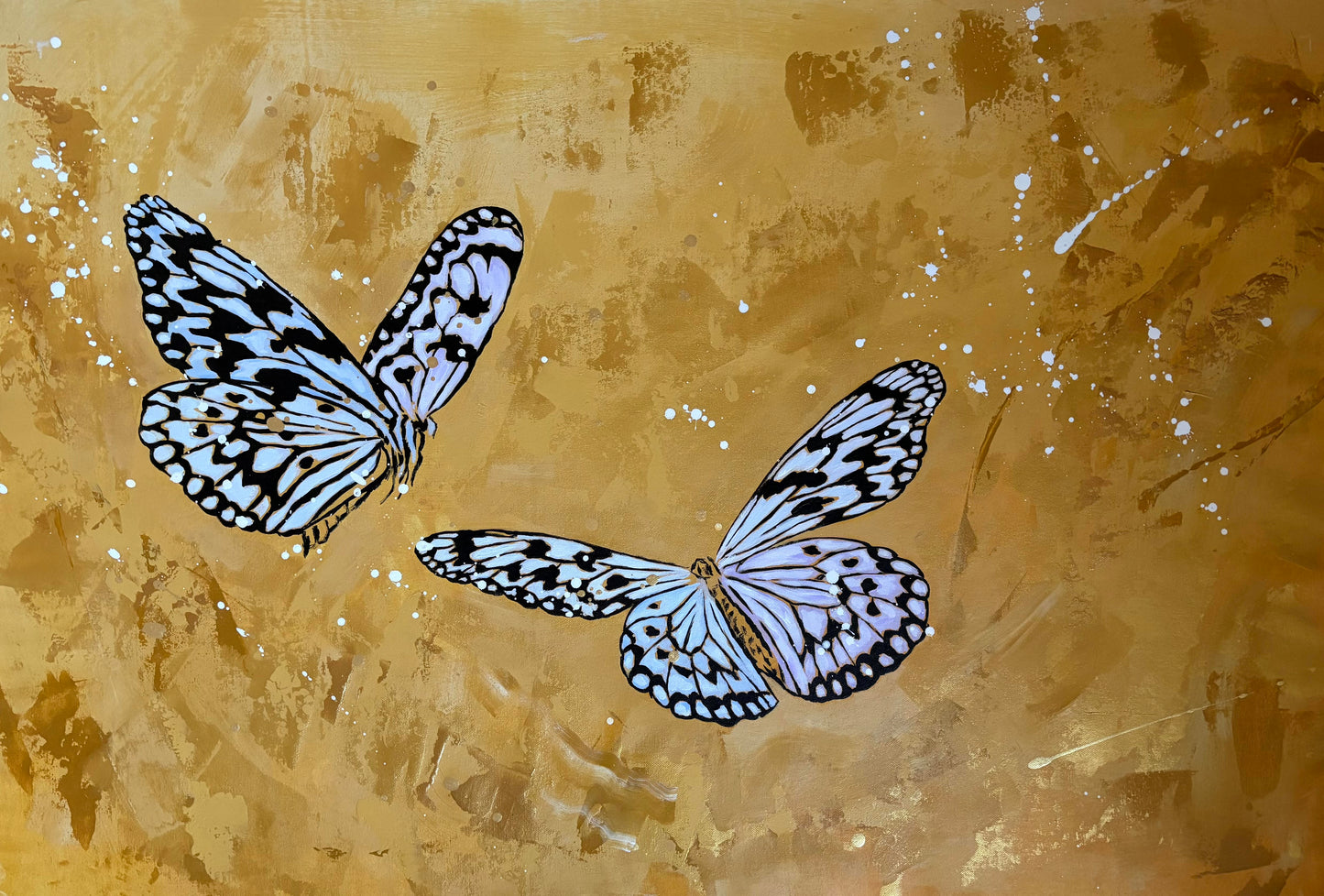 White Butterflies