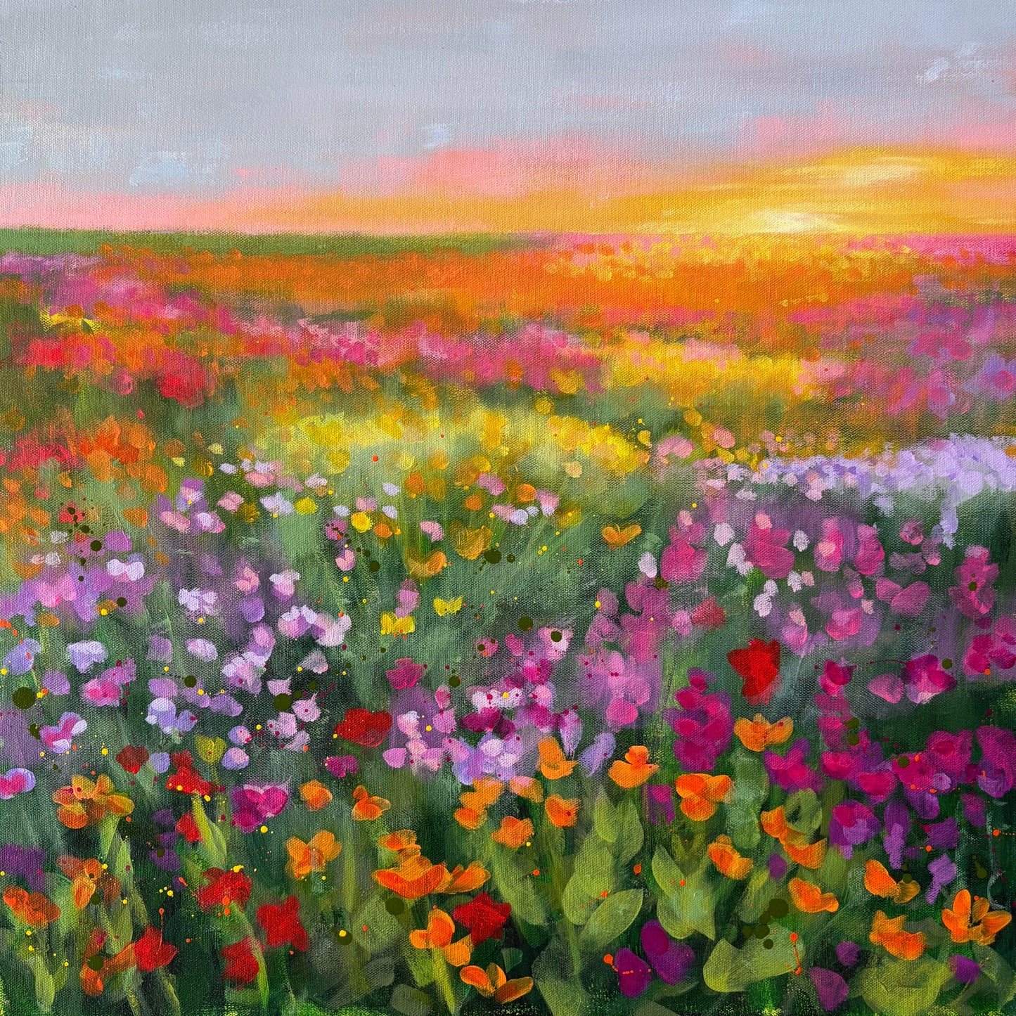 Flower Fields