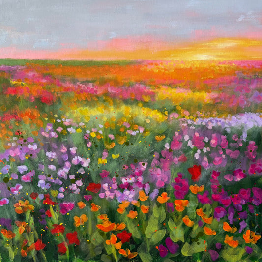Flower Fields